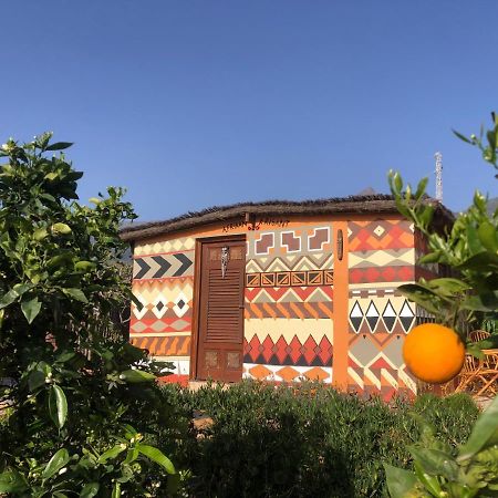 Afrikan Krisant Tenerife, Casa Rural Ecologica Arafo Eksteriør bilde