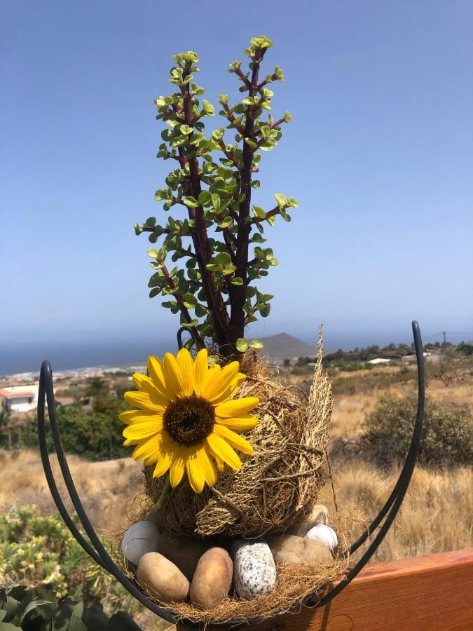 Afrikan Krisant Tenerife, Casa Rural Ecologica Arafo Eksteriør bilde