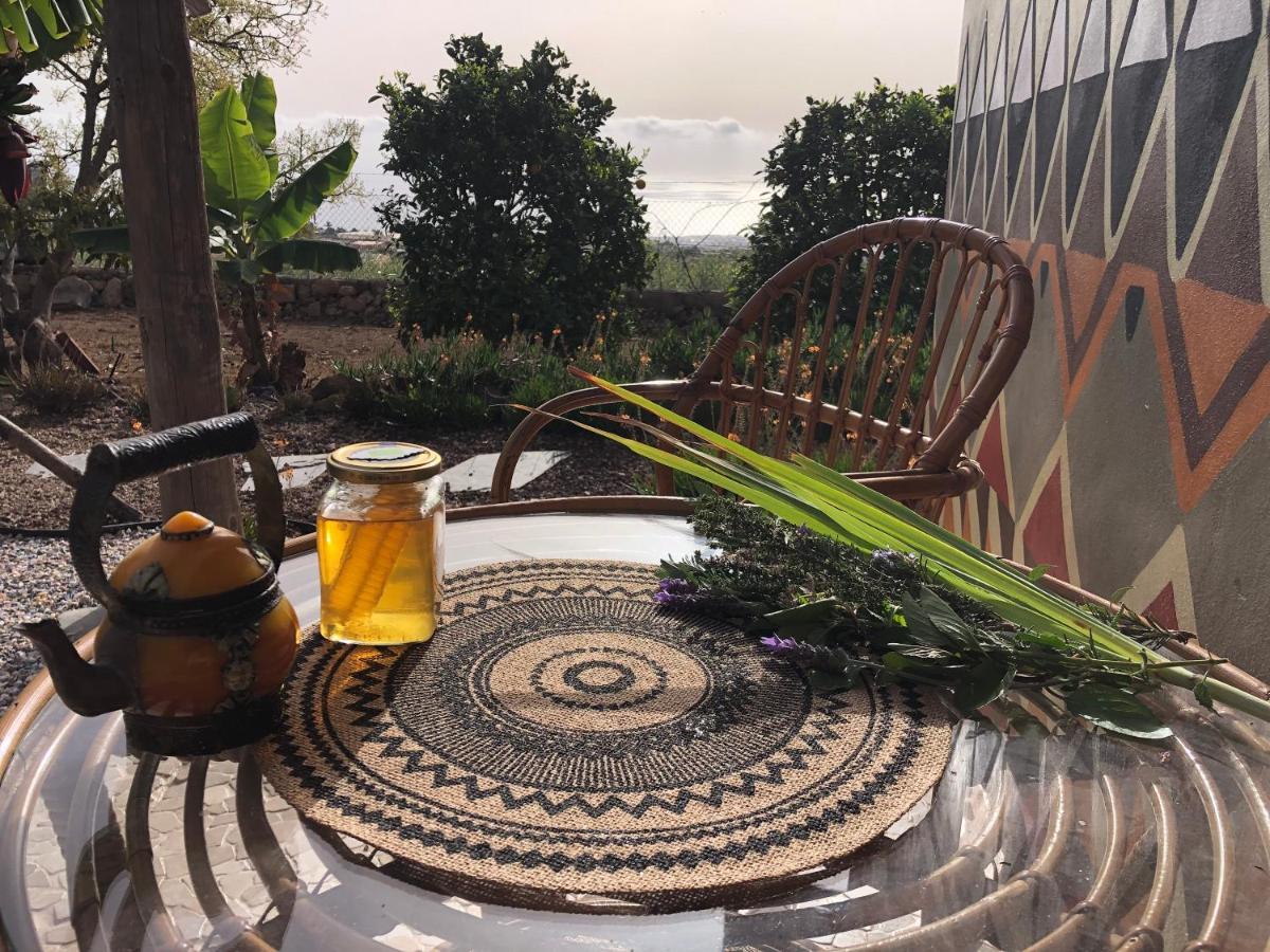 Afrikan Krisant Tenerife, Casa Rural Ecologica Arafo Eksteriør bilde