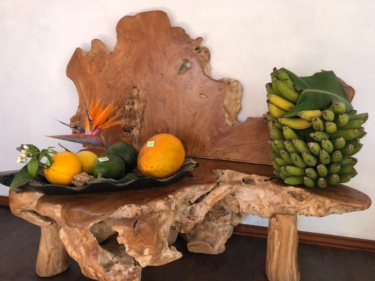 Afrikan Krisant Tenerife, Casa Rural Ecologica Arafo Eksteriør bilde