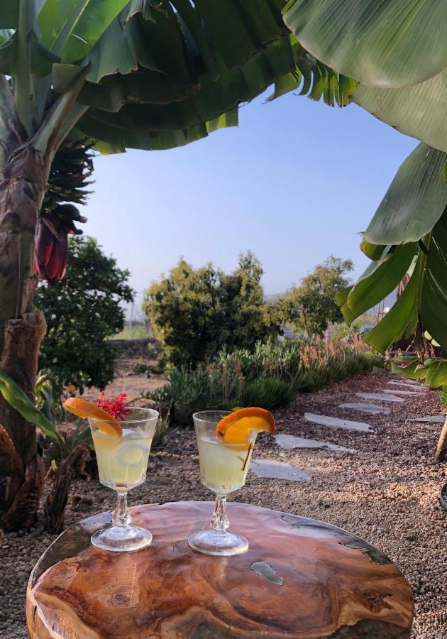 Afrikan Krisant Tenerife, Casa Rural Ecologica Arafo Eksteriør bilde