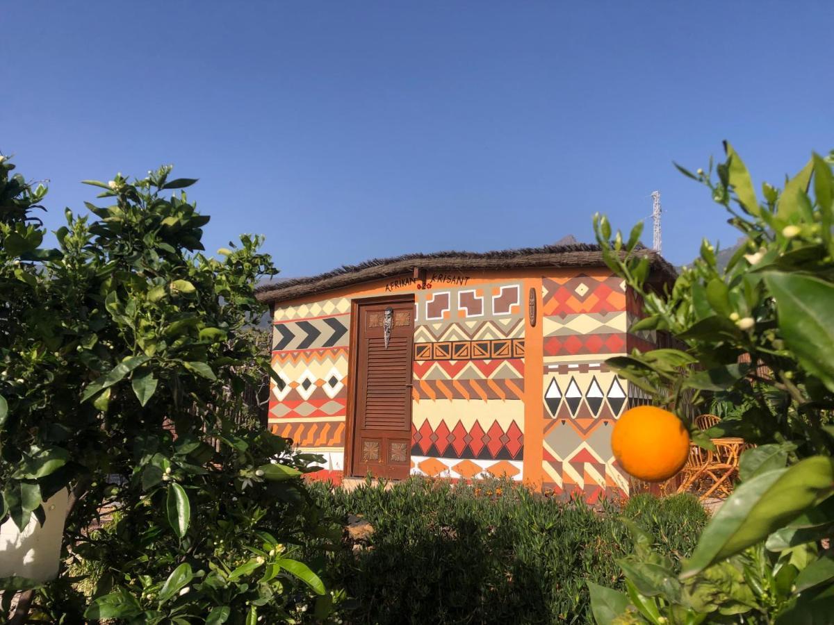 Afrikan Krisant Tenerife, Casa Rural Ecologica Arafo Eksteriør bilde